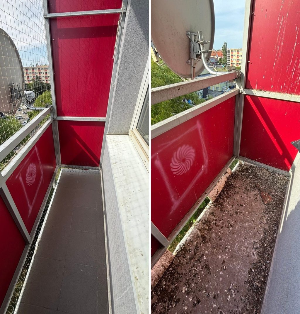 C9BDA9C0-93FF-478A-AC7C-2071C5AFB2C3