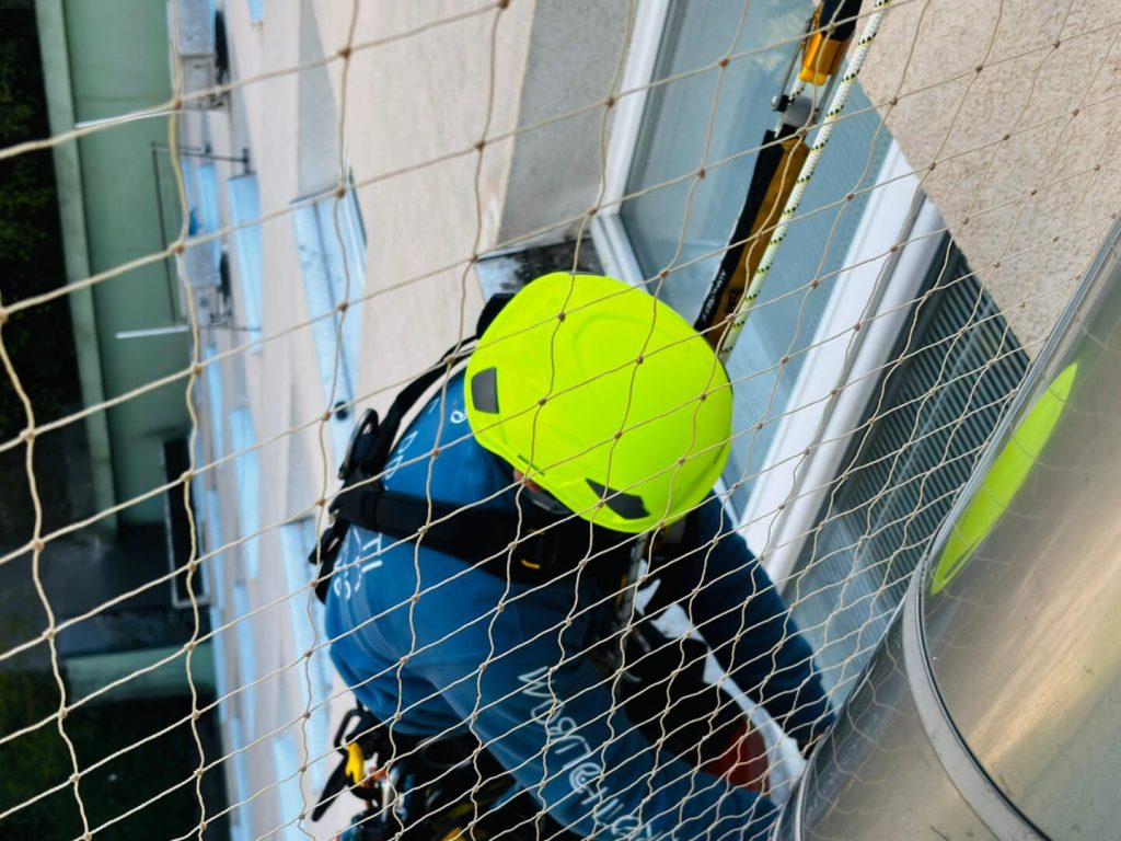 b3dd7ebb-335a-4909-ae15-a806c1fbe4a7